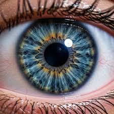 Image result for artistic divergence eyeballs