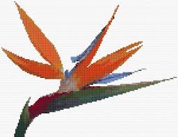 Bird Cross Stitch Pattern Free Bird Of Paradise Ponto Cruz Almofadas Costura
