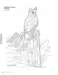 Download 196 wood burning free vectors. Pyrography Patterns Basic Techniques And 30 Wildlife Designs For Woodburning Fox Chapel Publishing Large Ready To Use Patterns Both Line And Tonal Plus Tips Advice From Artist Sue Walters Walters Sue 8601410638610 Amazon Com