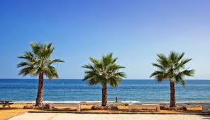 Check spelling or type a new query. Entdecken Sie Den Perfekten Strand Mit Blauer Flagge An Der Costa Del Sol Fur Ihren Urlaub