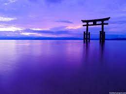 湖上に浮かぶ鳥居の風景 白髭神社 死ぬまでに行きたい 世界の絶景 鳥居 風景 神社