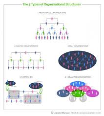 the innovation ecosystem for the future of work business organizational structure organizational structure organizational design