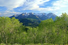While parks have seen an uptick in visitors for the past couple years, last year there was a 33% increase, according to scott strong, deputy director of utah state parks. Jordanelle State Park Utah Com
