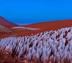 Sistem kami menemukan 2 jawaban utk pertanyaan tts wow. Gurun Atacama 11 Cara Golden