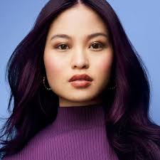 Silver Demi Permanent Hair Dye Kit