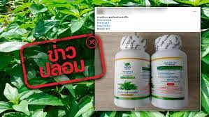 ผลิตภัณฑ์เสริม ผลิตภัณฑ์เสริมปลอม เพลิงพยัคฆ์ เลขที่1 วิภาวดีฯ Izos2msqybkb2m