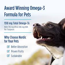 Amazon Com Nordic Naturals Omega 3 Pet Oil Supplement Promotes Optimal Pet Health And Wellness For Large To Very Large Breed Dogs And Multi Dog 16 Oz Standard Packaging Pet Fish Oil