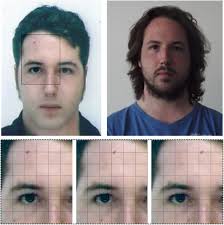 Molistic processing in facial image comparison