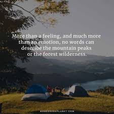 All while documenting the trip online with some instagram captions for fall camping. 50 Beautiful Camping Captions For Instagram With Images