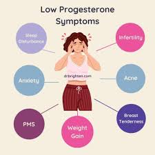 Image result for Progesterone