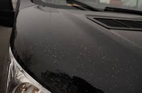 Stuttgart 2020/2021 fikstürü, iddaa, maç sonuçları, maç istatistikleri, futbolcu kadrosu, haberleri, transfer haberleri. Wetterphanomen In Baden Wurttemberg Saharastaub Rieselt Auf Stuttgarts Autos Herab Stuttgart Stuttgarter Zeitung