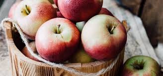 The exception to this is a low desert. Backyard Fruit Trees You Should Grow Garden Express
