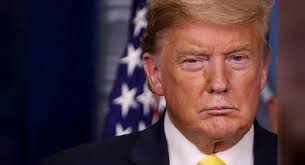 The Deadly Duo: Part 1: Trump and the Coronavirus, Elliot Benjamin