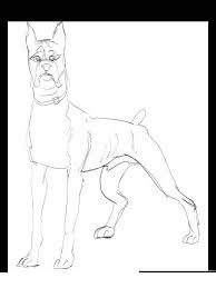 Basset hound dog color pages. Boxer Free Printable Coloring Pages For Girls And Boys