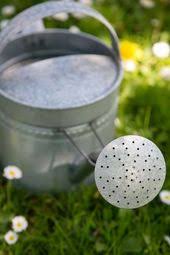 Giesskanne Antik Zink Metall Flexo 3 5 Liter Giesskanne Verzinktes Blech Rosenbogen Mit Bank