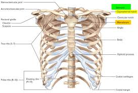 Maybe you would like to learn more about one of these? Bone Marrow Biopsy Reasons Pain Complications