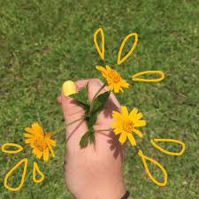 Black And Yellow Aesthetic Tumblr Tumblr Black Aesthetic Girl Boy Dark Grunge Pale Tumblr Color L4l Photooftheday Sunbright Grunge Tumblr