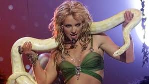 Image result for britney spears python