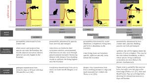 The acanthocephala are thought to be intermediate between the cestodes and nematodes. Cross Species Pathogen Spillover Across Ecosystem Boundaries Mechanisms And Theory Philosophical Transactions Of The Royal Society B Biological Sciences