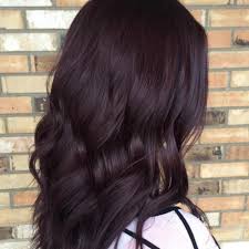 Hail this lovely dark auburn hair that looks super good on waves! 50 Red Brown Hair Ideas For Remarkable Style My New Hairstyles