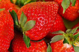Fragole di bosco o selvatiche: Le Fragole Tutte Le Varieta