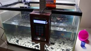 Bisa order ikan hias unik dan langka dalam jumlah eceran spt: 10 Perlengkapan Aquarium Dan Fungsinya Untuk Ikan Hias