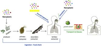 Image result for Styrene Poisoning