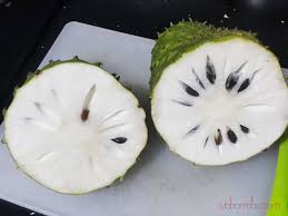 Khasiat air minuman durian belanda. Jus Durian Belanda Asli Banyak Khasiat Kena Minum Setaip Hari