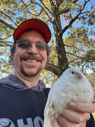 Scott addict gravel 20 (2023)