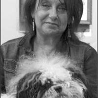 Thunder Mountain Press brings artwork to the community