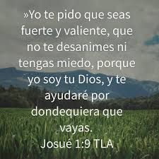 Confio En Tu Proposito Senor Frases Educativas Mensaje De Dios Palabra De Vida