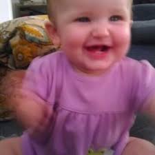 Image result for Rhinacanthus submontanus