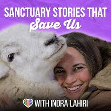 Listen to Audiobooks by Indra Das