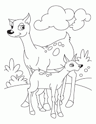 10 free 4th of july coloring pages for kids. Fawn Coloring Pages Coloring Home