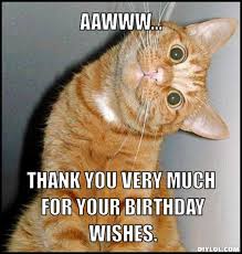 Meme Funny Thank You For Birthday Wishes Thank You For Your Birthday Wishes Library Memes Funny Cat Pictures Funny Cat Memes