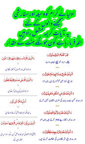 Pin By Mehdi Hassan On Places To Visit Allah Ki Rehmten Beautiful Flowers Beautiful 10 Things