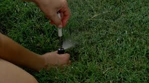 Knowing the amount of water an irrigation system applies over a certain time period is an important step in using water efficiently. Lawn Irrigation 101 A Comprehensive Guide To Watering Your Lawn Lawnstarter