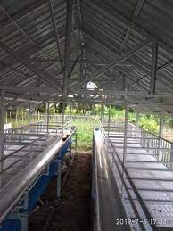 Kandang kambing yang sehat adalah kandang kambing yang mempunyai desain yang baik untuk pembuangan kotoran dan tempat untuk menaruh makanan kambing itu sendiri. Kandang Kambing Modern Kandang Kambing Murah Kandang Kambing Qurban Hewan Peliharaan 787871172