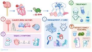 Image result for Spinal Shock