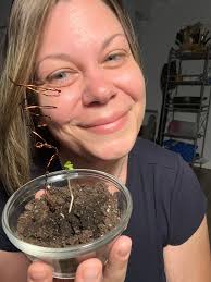 Repotting a baby plant with homemade fertilizer