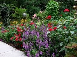 Pin On Garden