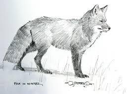 Drawings And Sketches Fox Drawing Sketches Pencil Drawings Of Animals