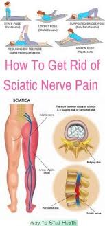 Pin On Lower Back Pain