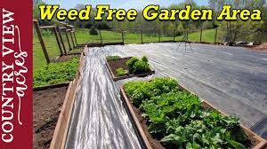 Garden fabric how to and why use it in your landscape. Installing Woven Weed Barrier In The Vegetable Garden Youtube