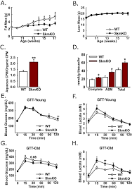 The walls of the alimentary canal contain muscle tissue. Impaired Skeletal Muscle Mitochondrial Pyruvate Uptake Rewires Glucose Metabolism To Drive Whole Body Leanness Elife
