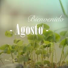 ** daniel pennac ** en su libro comme un roman (como una novela). Pin On Frases