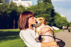 Don't have anyone to snuggle with this valentine's day? Low Maintenance Pets That Like To Cuddle Our Guide Pro Pet Supplies