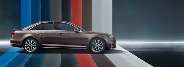 Image result for Argus Brown 2018 A4