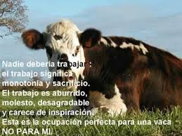Este libro nos dice que hay que ser flexibles con las circunstancias pero nunca por una circunstancia abandones y mandes a volar a tus metas. El Rinoceronte Scott Alexander Wmv Youtube