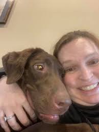 Lab with some muscle tone 😍